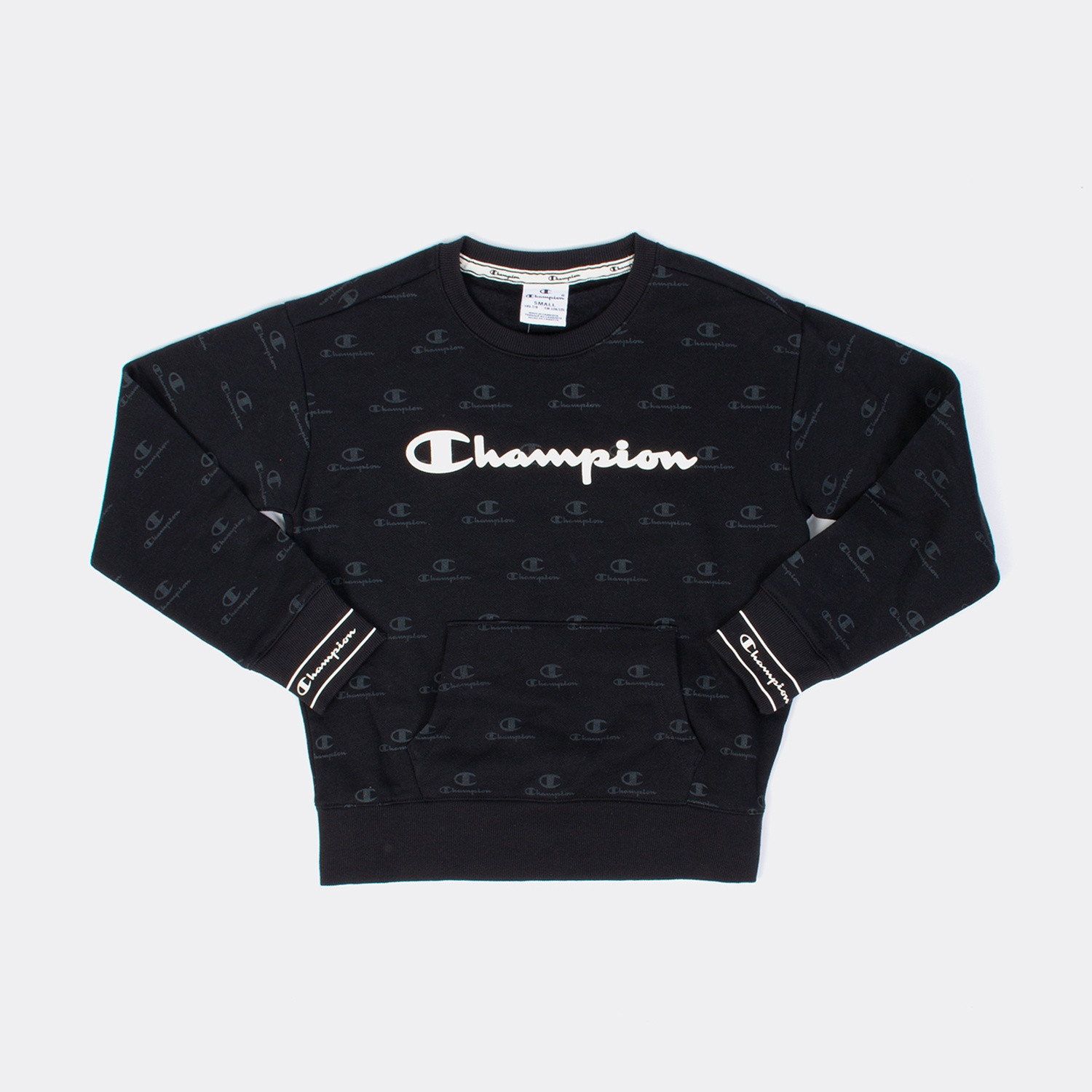 Champion-Crewneck-Sweatshirt-9000038522_41660