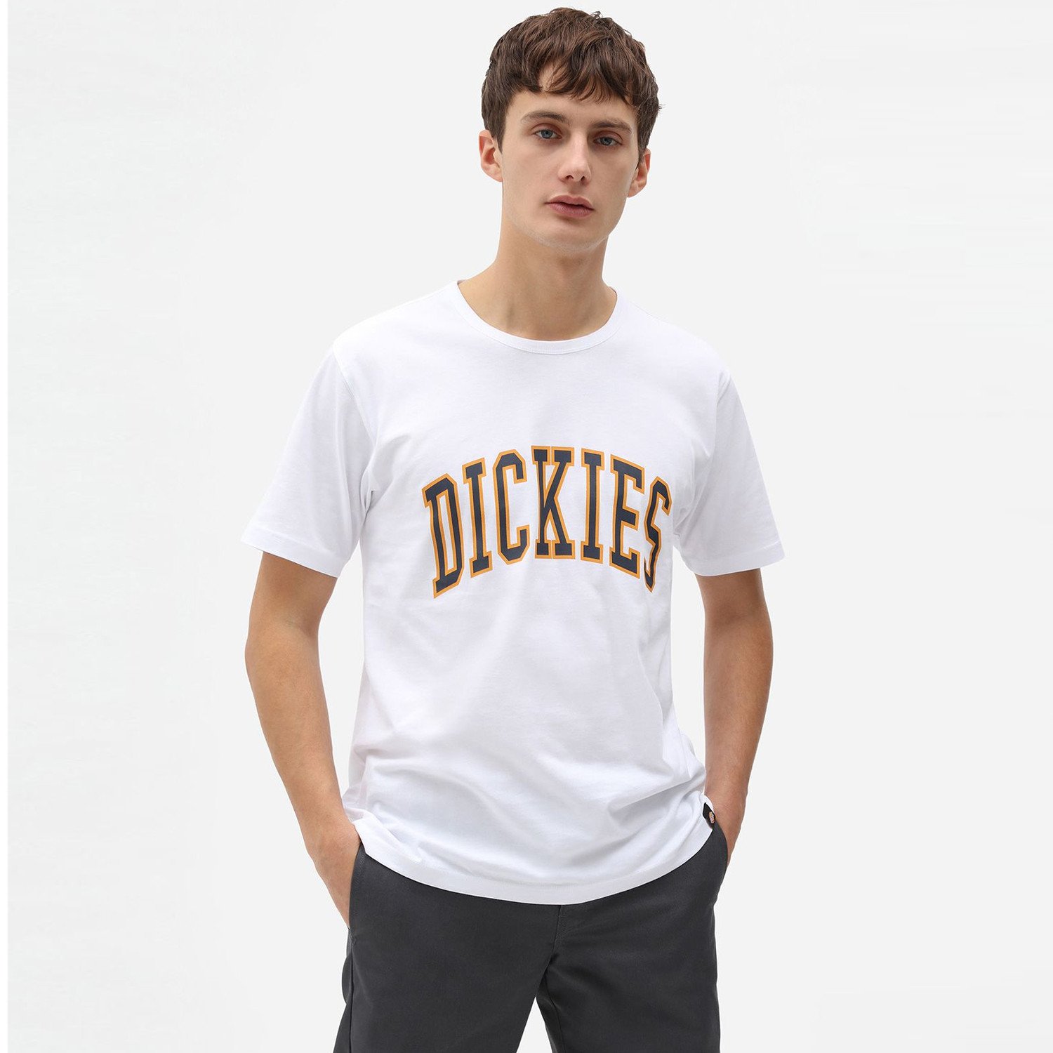 Dickies-Aitkin-Ανδρικό-T-Shirt-9000073106_8027