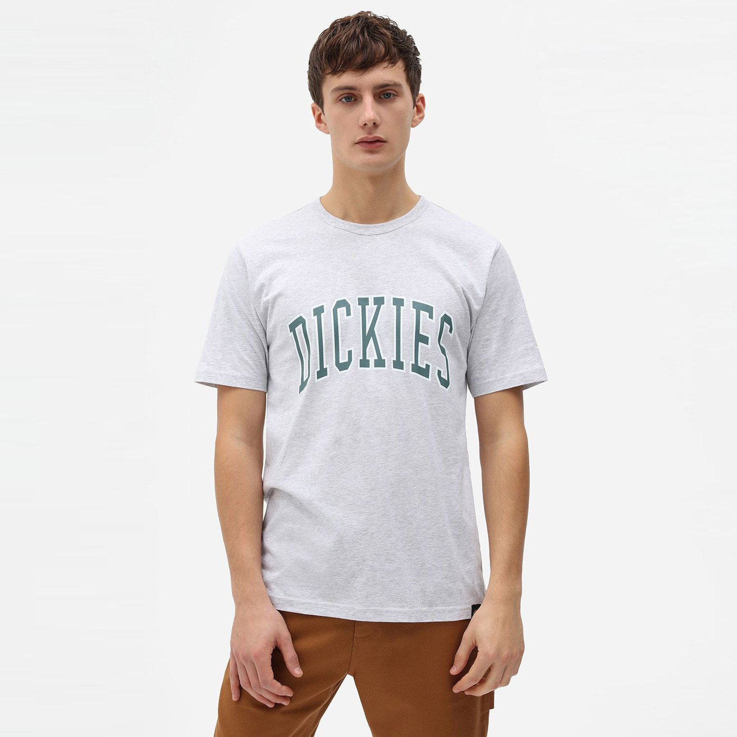 Dickies-Aitkin-Ανδρικό-T-Shirt-9000073108_51474