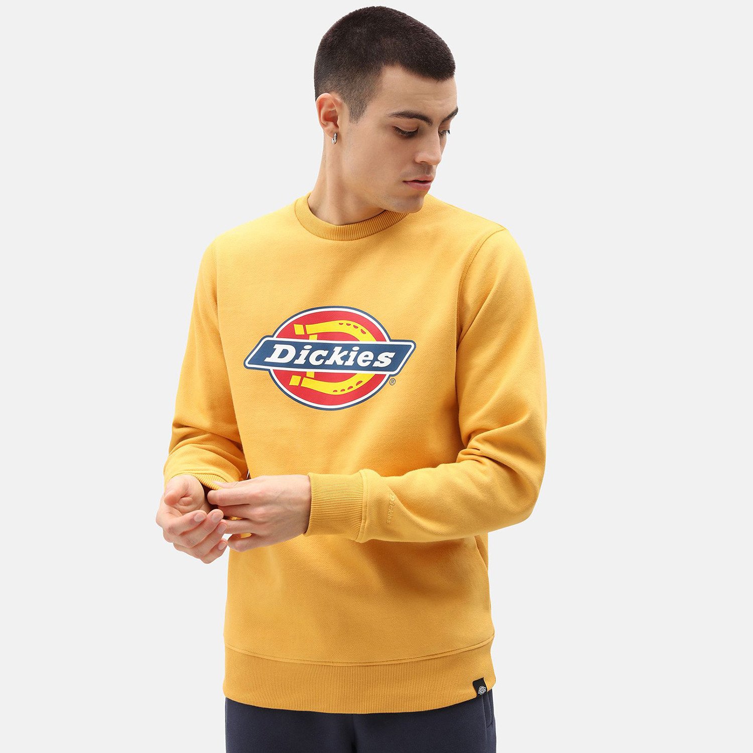 Dickies-Pittsburgh-Ανδρική-Μπλούζα-Φούτερ-9000066496_27198