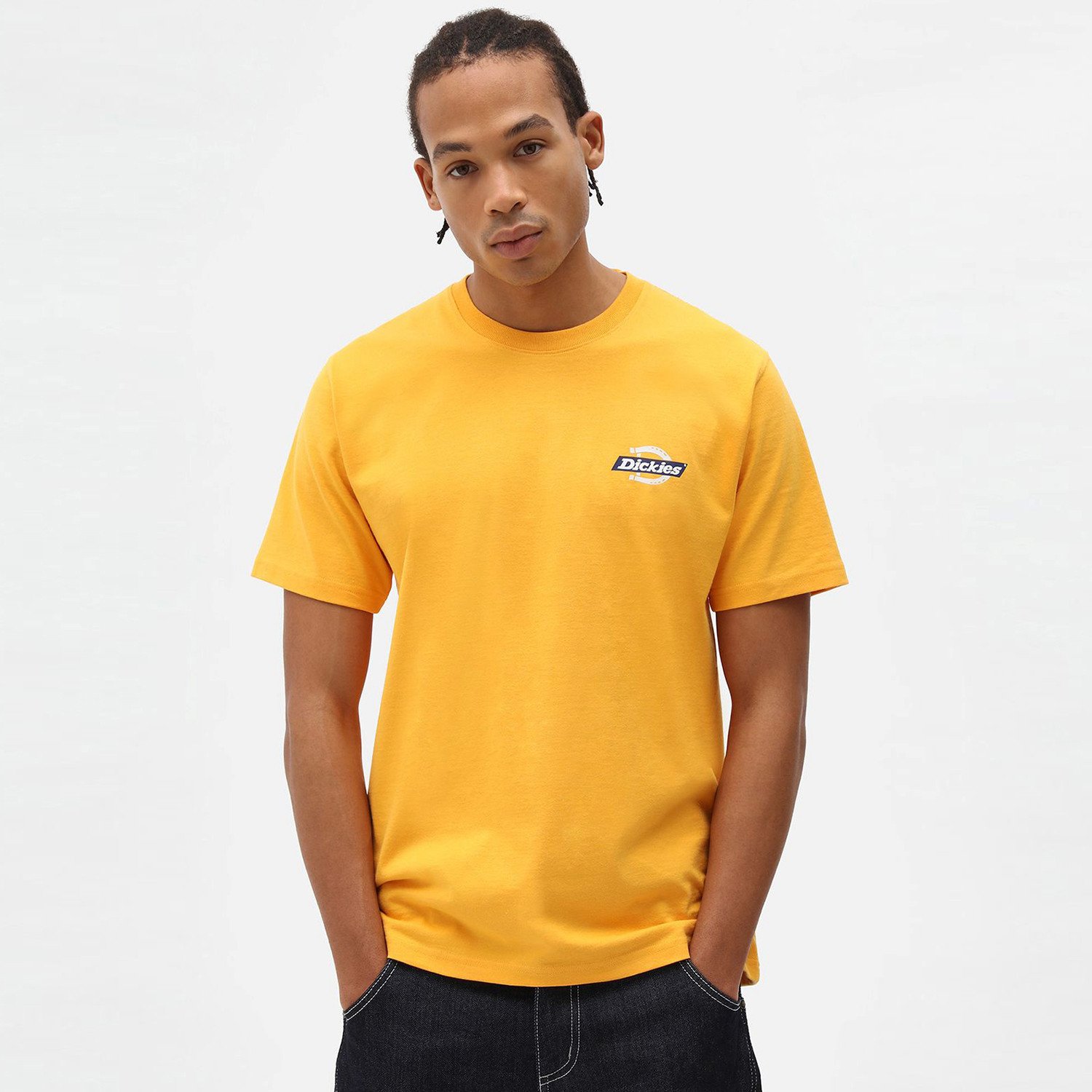 Dickies-Ruston-Ανδρικό-T-shirt-9000073091_51468