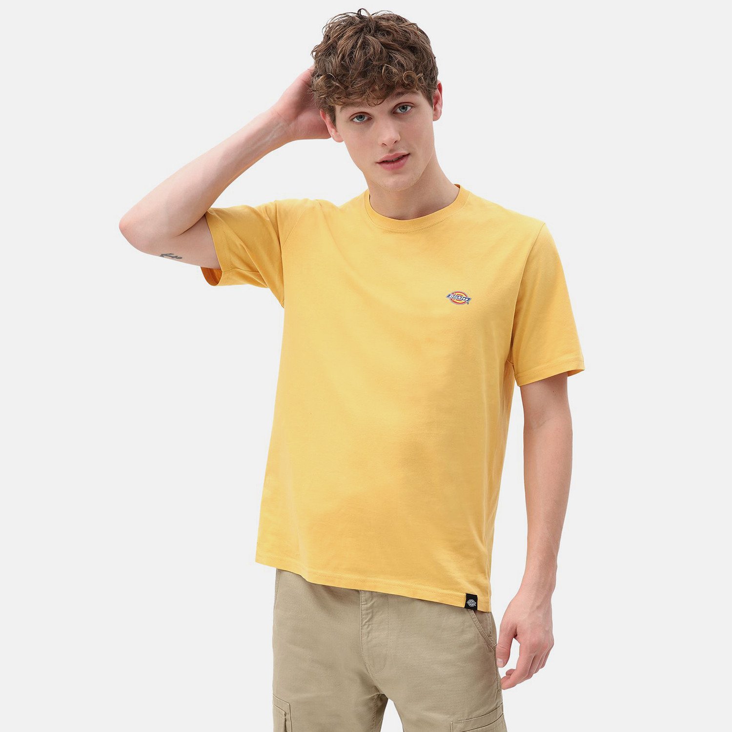 Dickies-Stockdale-Ανδρικό-T-Shirt-9000066506_27198