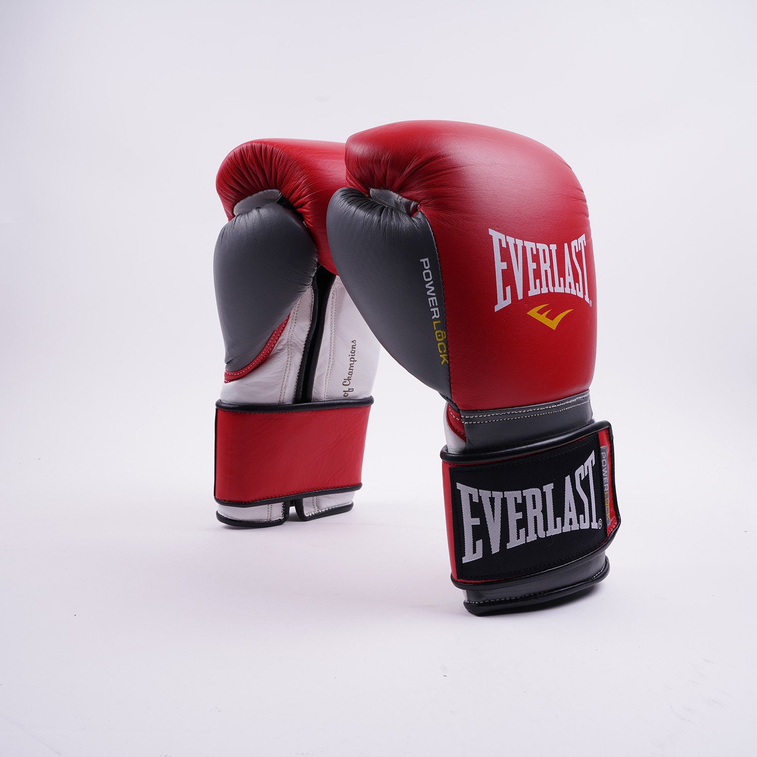 Everlast-OZ-VELCRO-PRO-STYLE-Training-Gloves-9000000461_9957