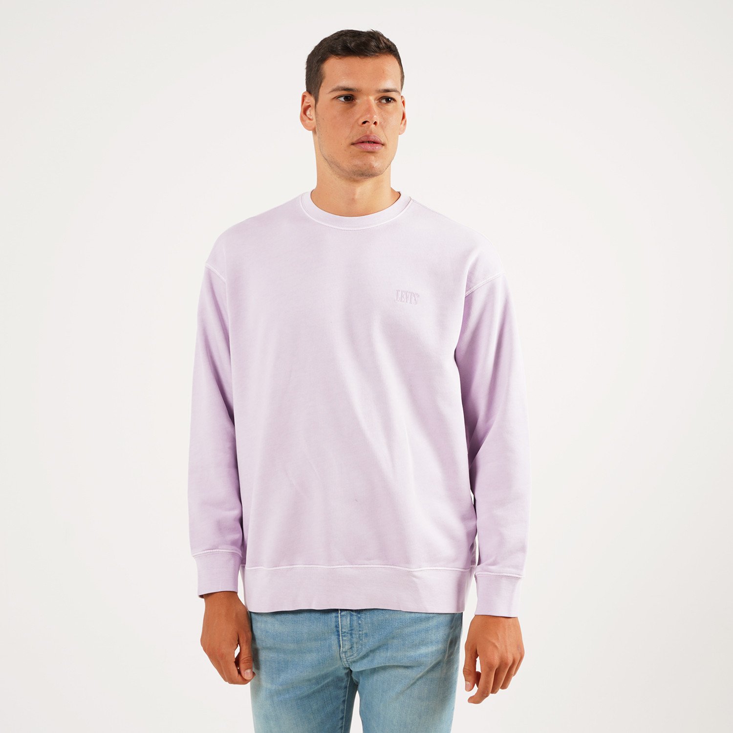 Levis-Authentic-Logo-Crewneck-Ανδρική-Μπλούζα-9000054225_20432