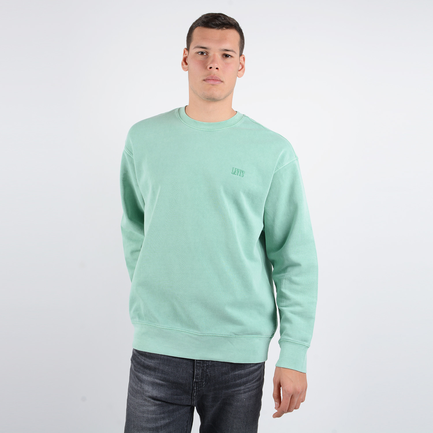 Levis-Authentic-Logo-Mens-Sweatshirt-9000048385_26101