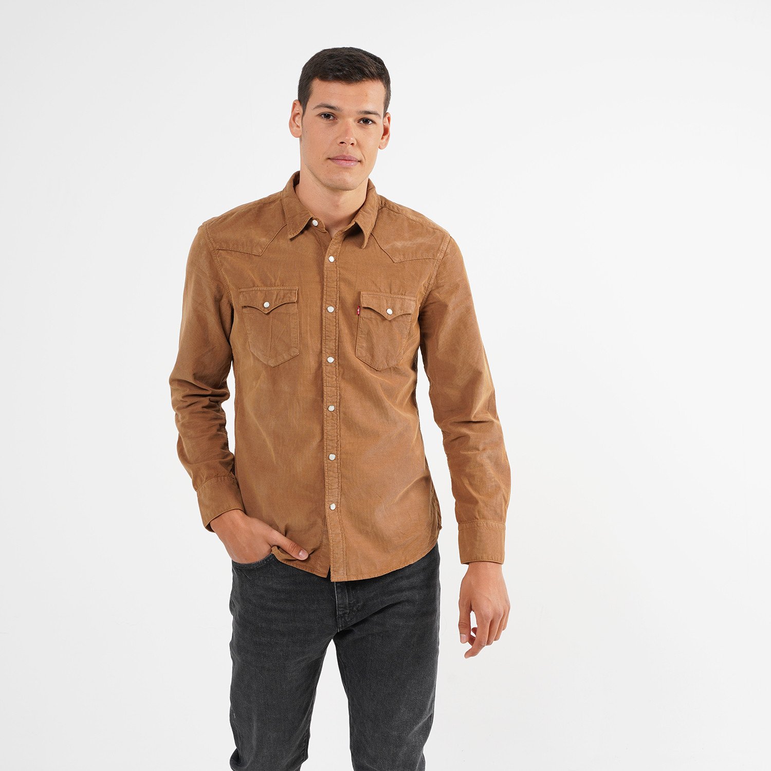 Levis-Barstow-Western-Slim-Garment-Aνδρικό-Πουκάμισο-9000054232_26106