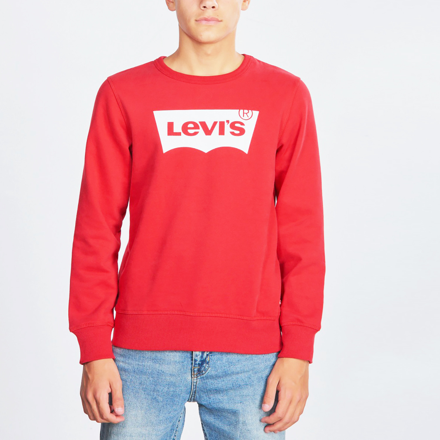 Levis-Batwing-Παιδικό-Φούτερ-9000063729_48848