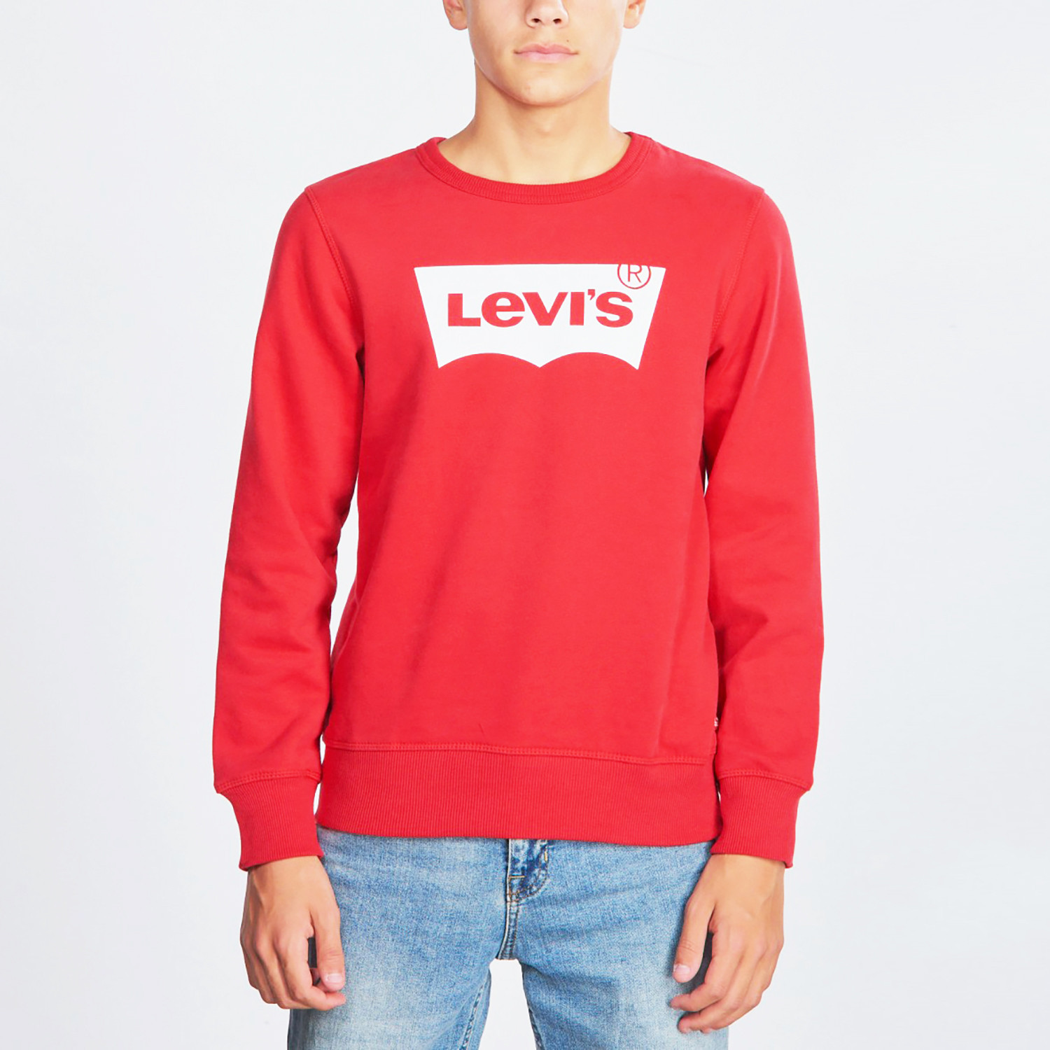 Levis-Batwing-Παιδικό-Φούτερ-9000063730_48848