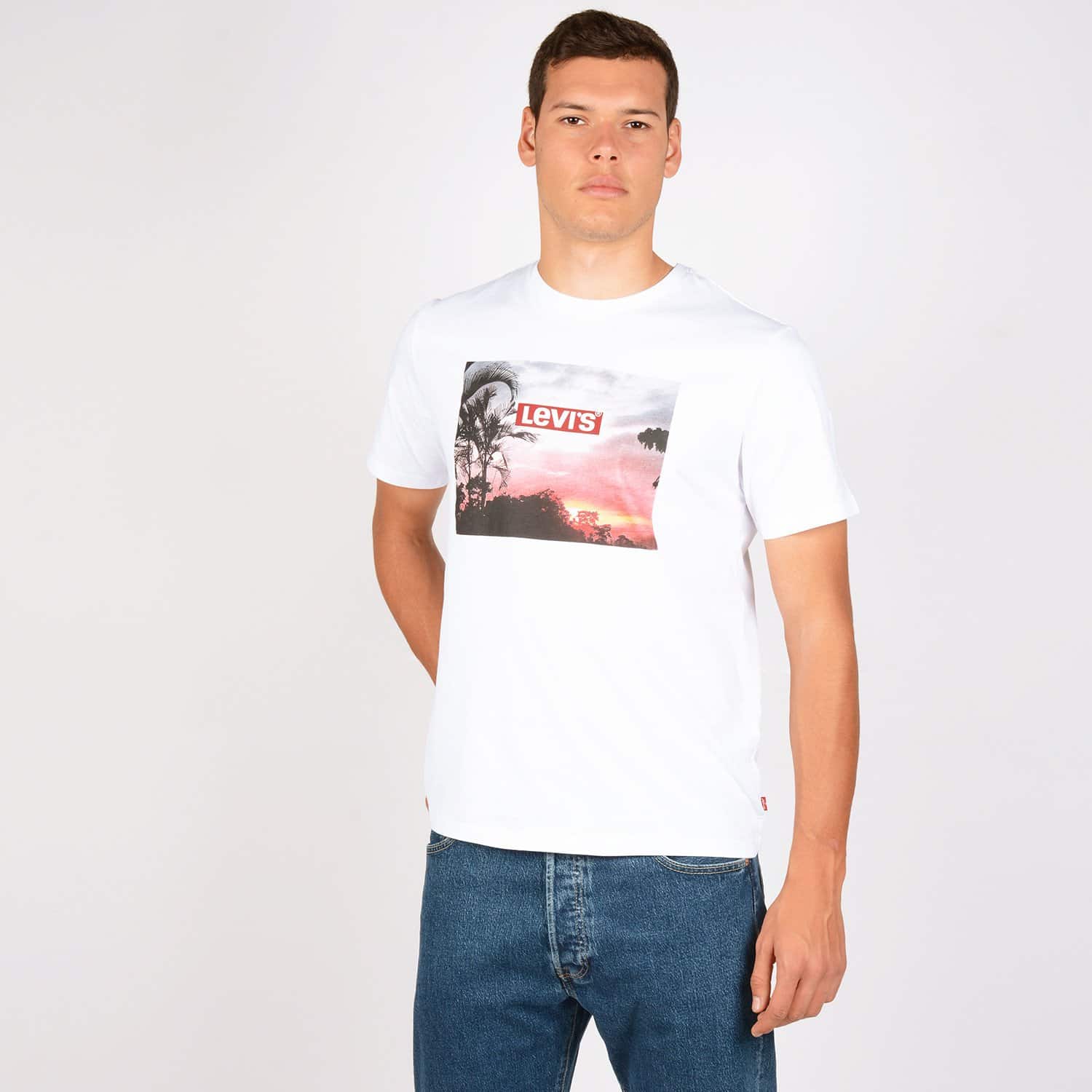 Levis-Graphic-Box-Ανδρικό-T-Shirt-9000048411_26106