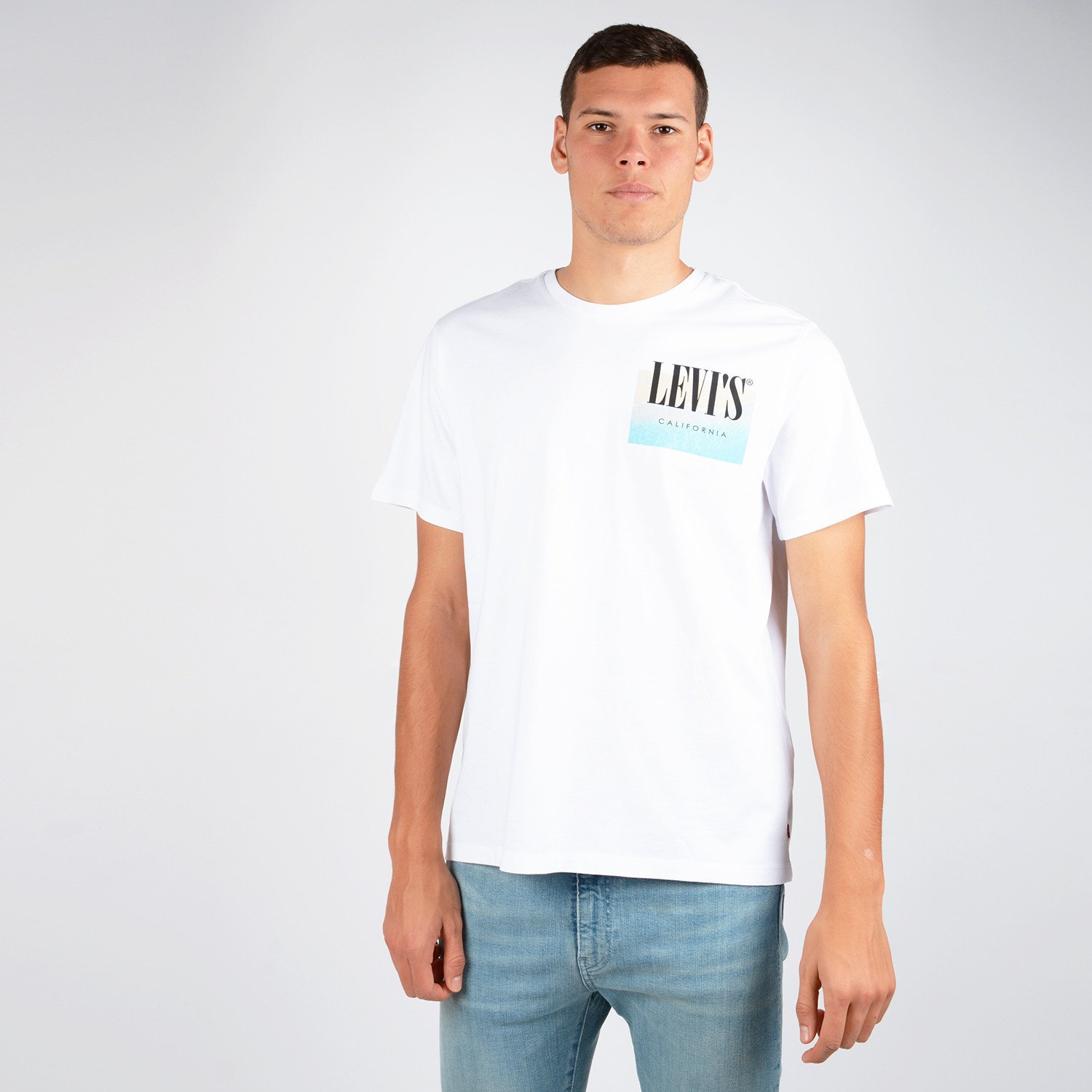 Levis-Graphic-Setin-Mens-Tee-9000048398_26106