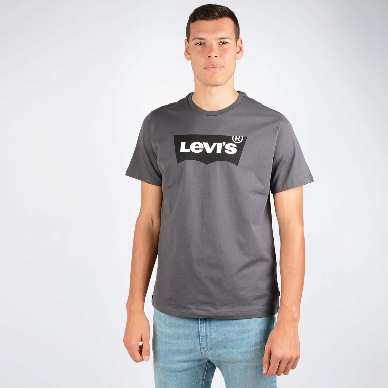 Levis-Housemark-Graphic-Mens-Tee-9000048371_26097