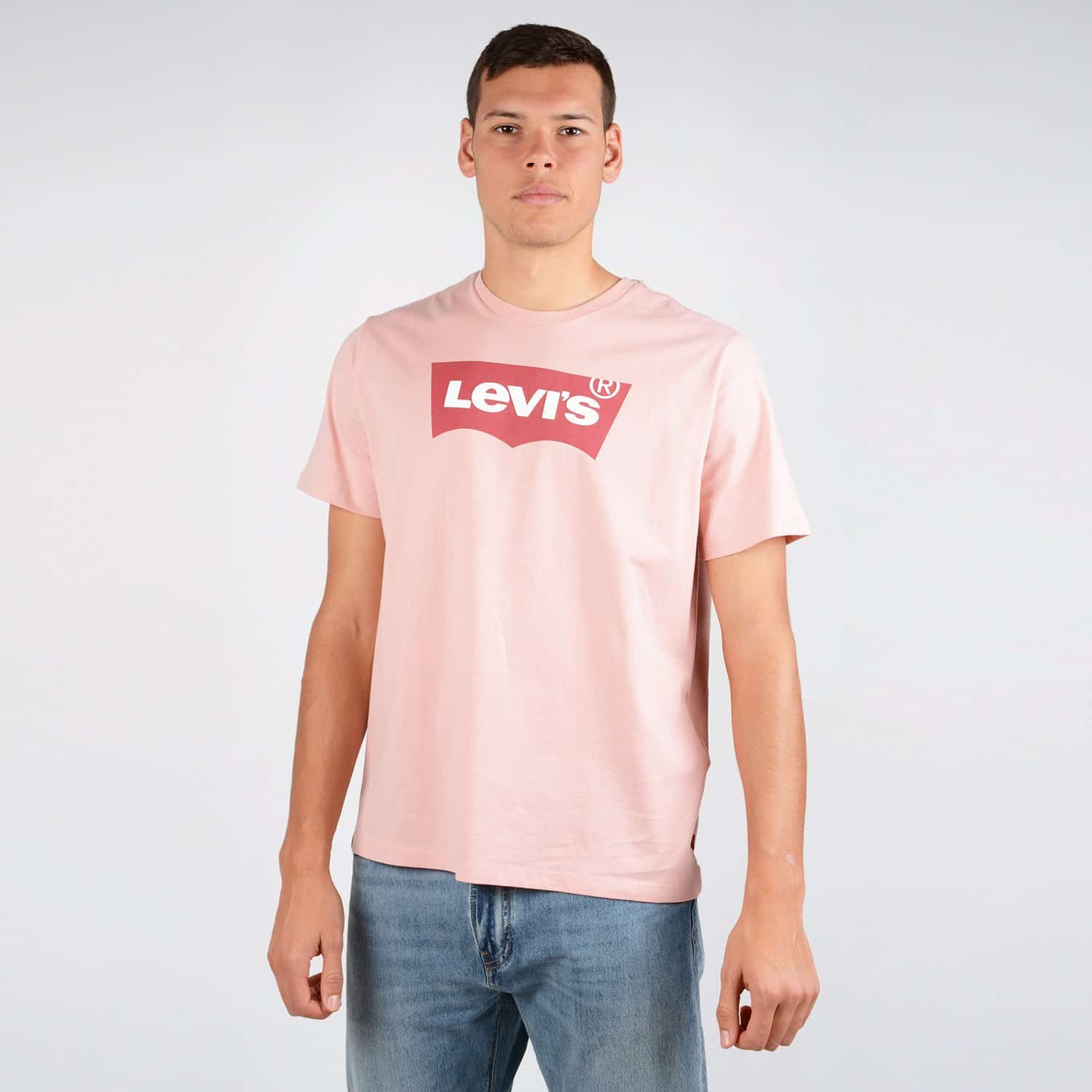 Levis-Housemark-Graphic-Mens-Tee-9000048373_26107