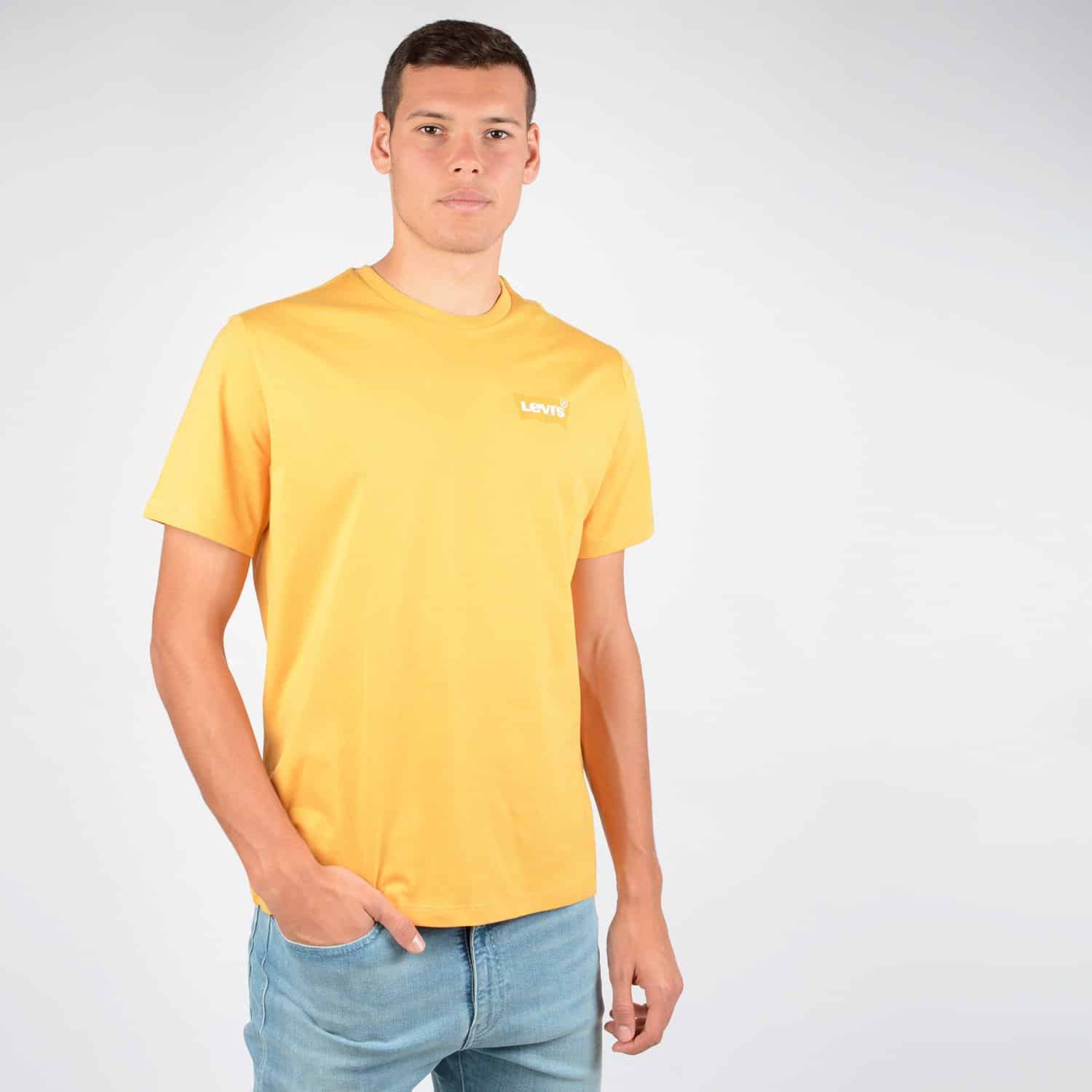 Levis-Housemark-Graphic-Mens-Tee-9000048375_40063