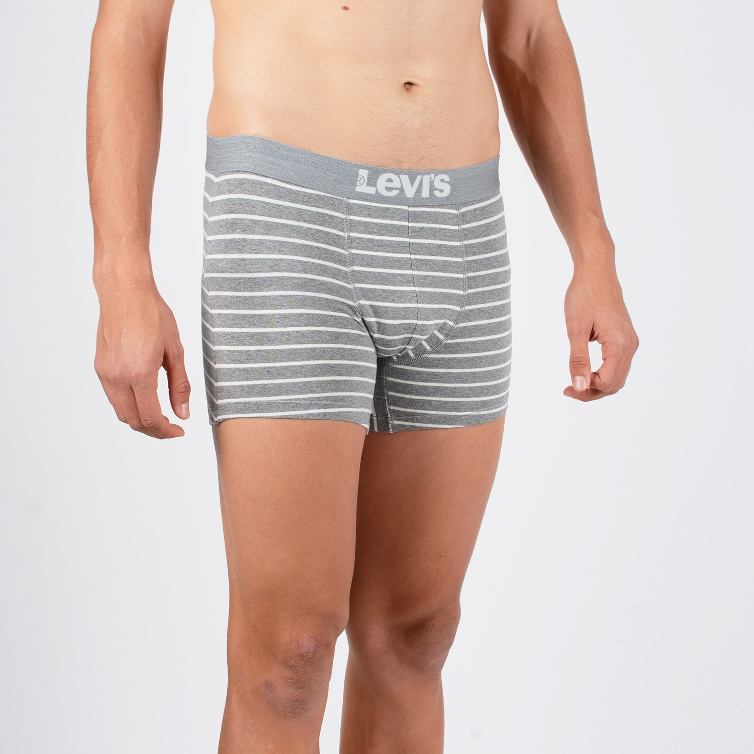 Levis-Mens-2-Pack-Vintage-Stripe-Yd-Boxer-Brief-9000050305_40051