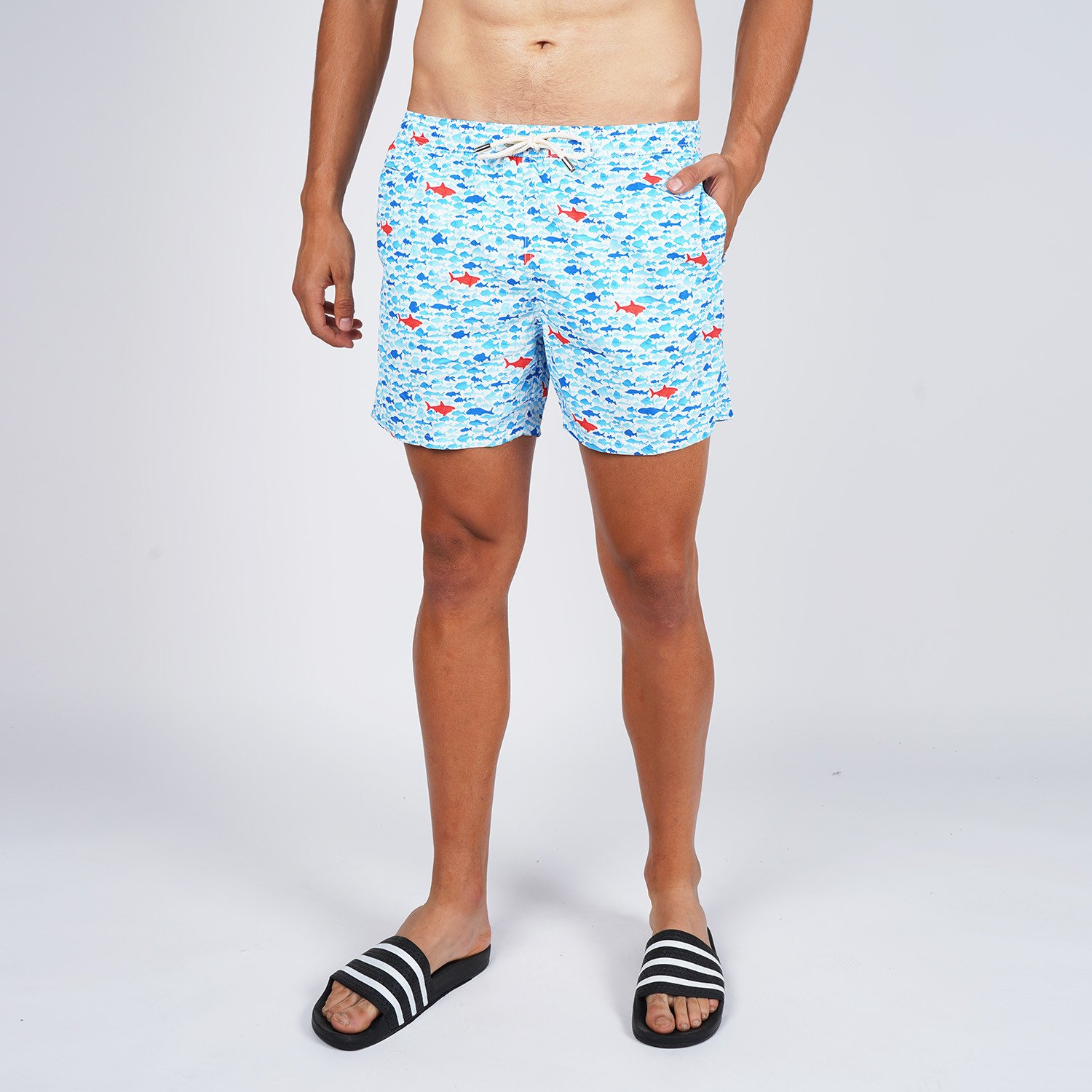 MC2-Lighting-Swimsuit-Sea-Shark-01-9000054132_45991