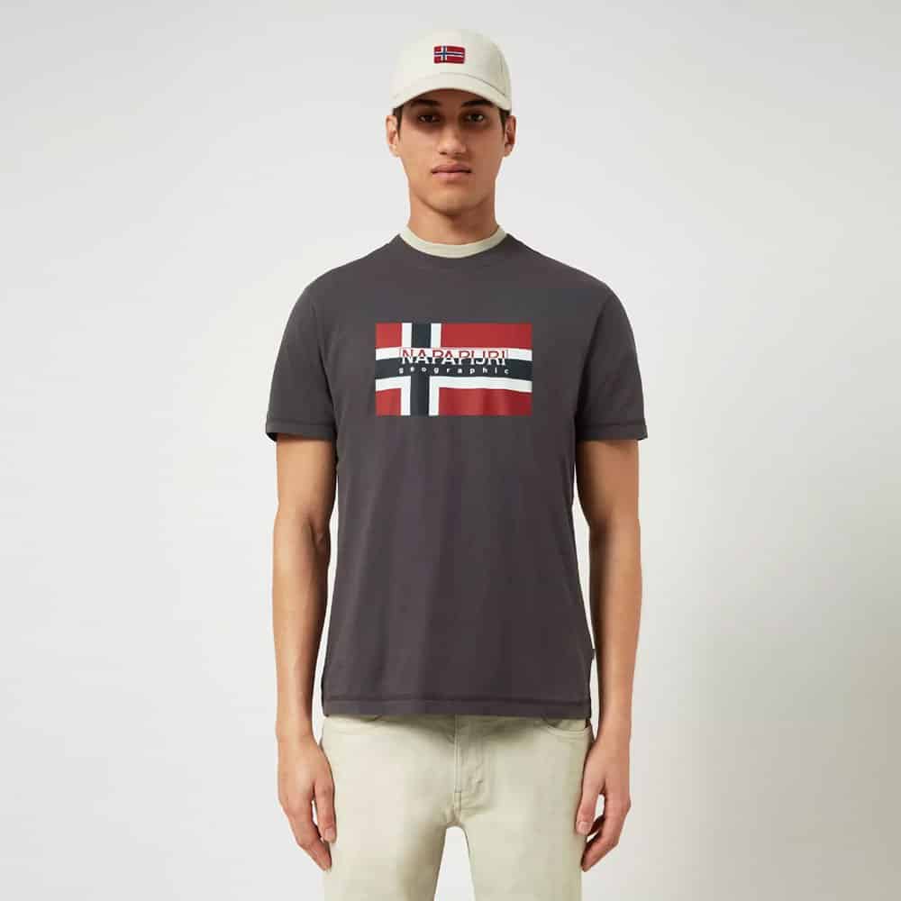 Napapijri-Sovico-Mens-Tee-9000047660_6655