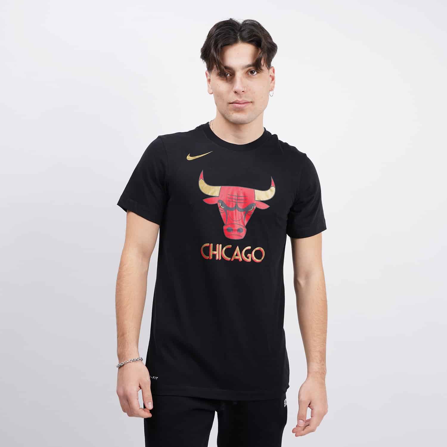 Nike-Chicago-Bulls-City-Edition-Ανδρικό-T-Shirt-9000056334_1469