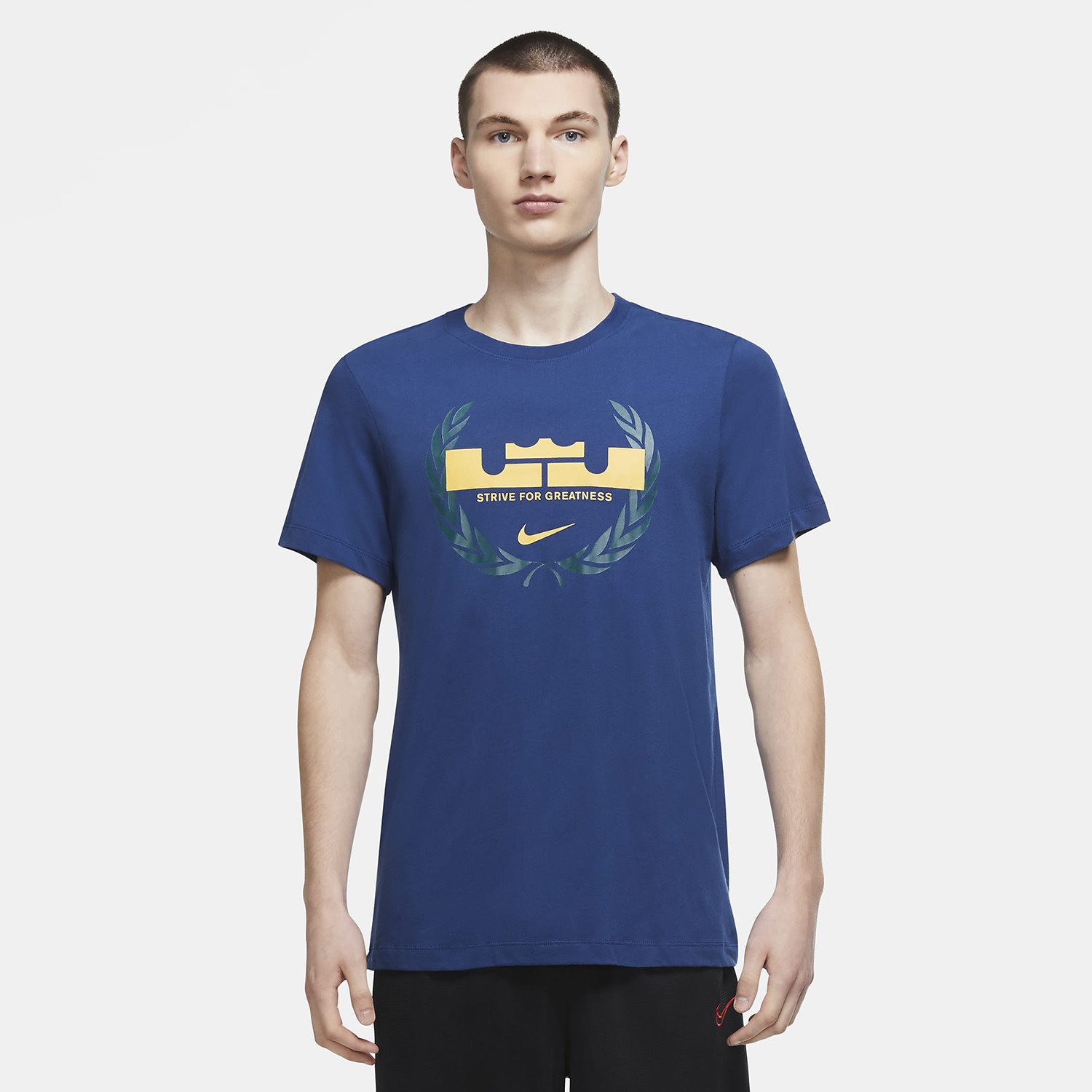 Nike-LeBron-James-Logo-Dry-FIT-Ανδρικό-T-Shirt-9000056553_25788