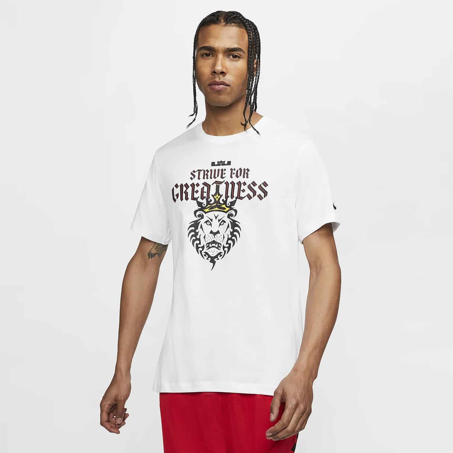 Nike-Sportswear-Lebron-Dry-Tee-Lion-Logo-Ανδρική-Μπλούζα-9000052751_1539