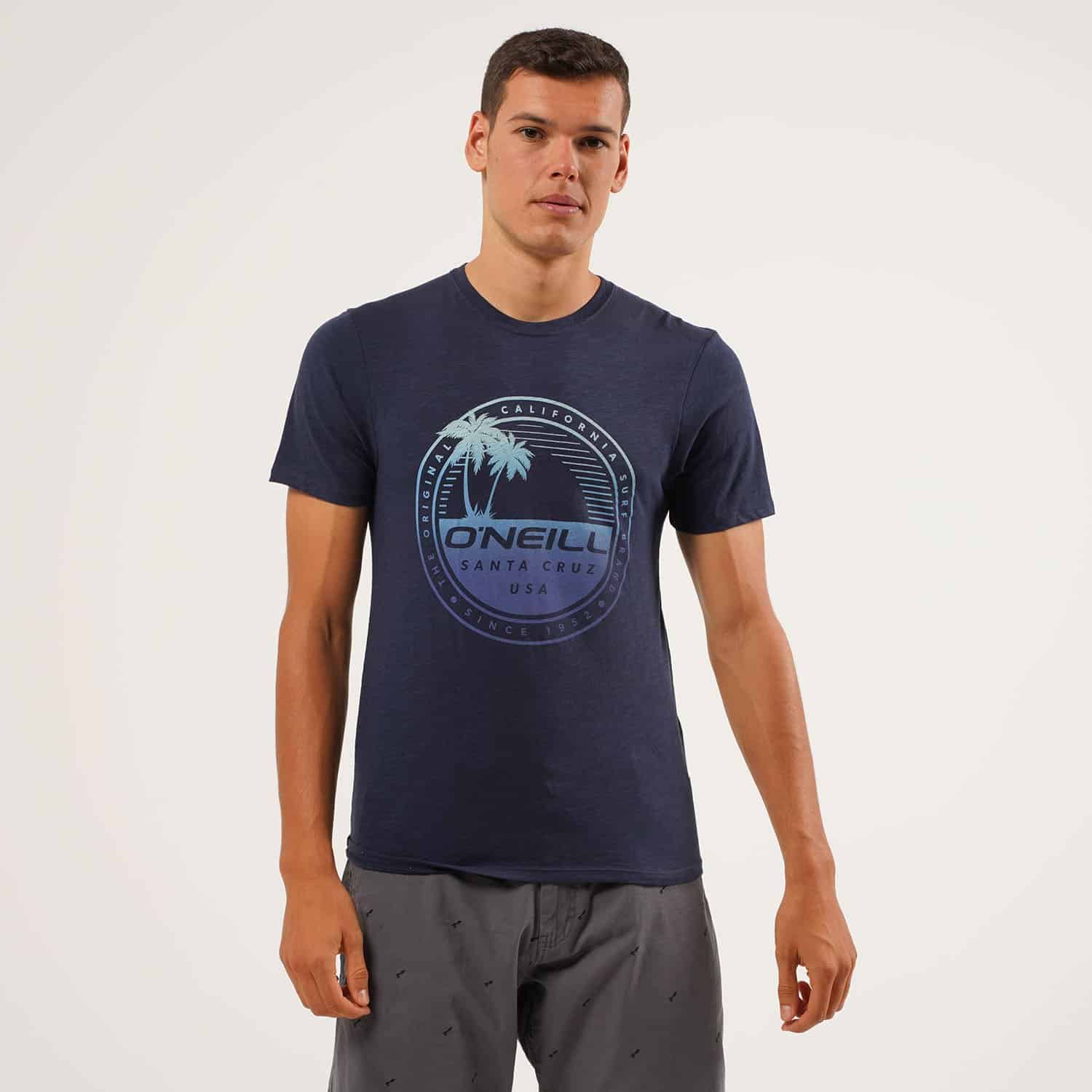 ONeill-Palm-Island-Ανδρική-Μπλούζα-9000062414_15879