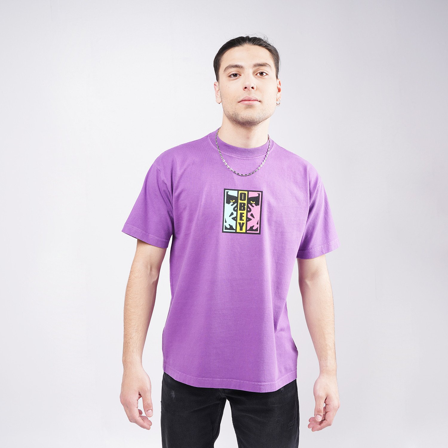 Obey-Divided-Heavyweight-Ανδρικό-T-shirt-9000075560_52049