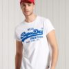 SUPERDRY VL CHENILLE LW TEE