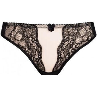 Strings Axami V-7048