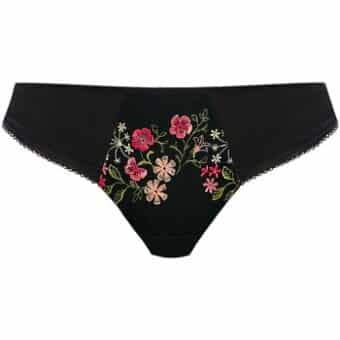 Strings Freya AA2397 NOR