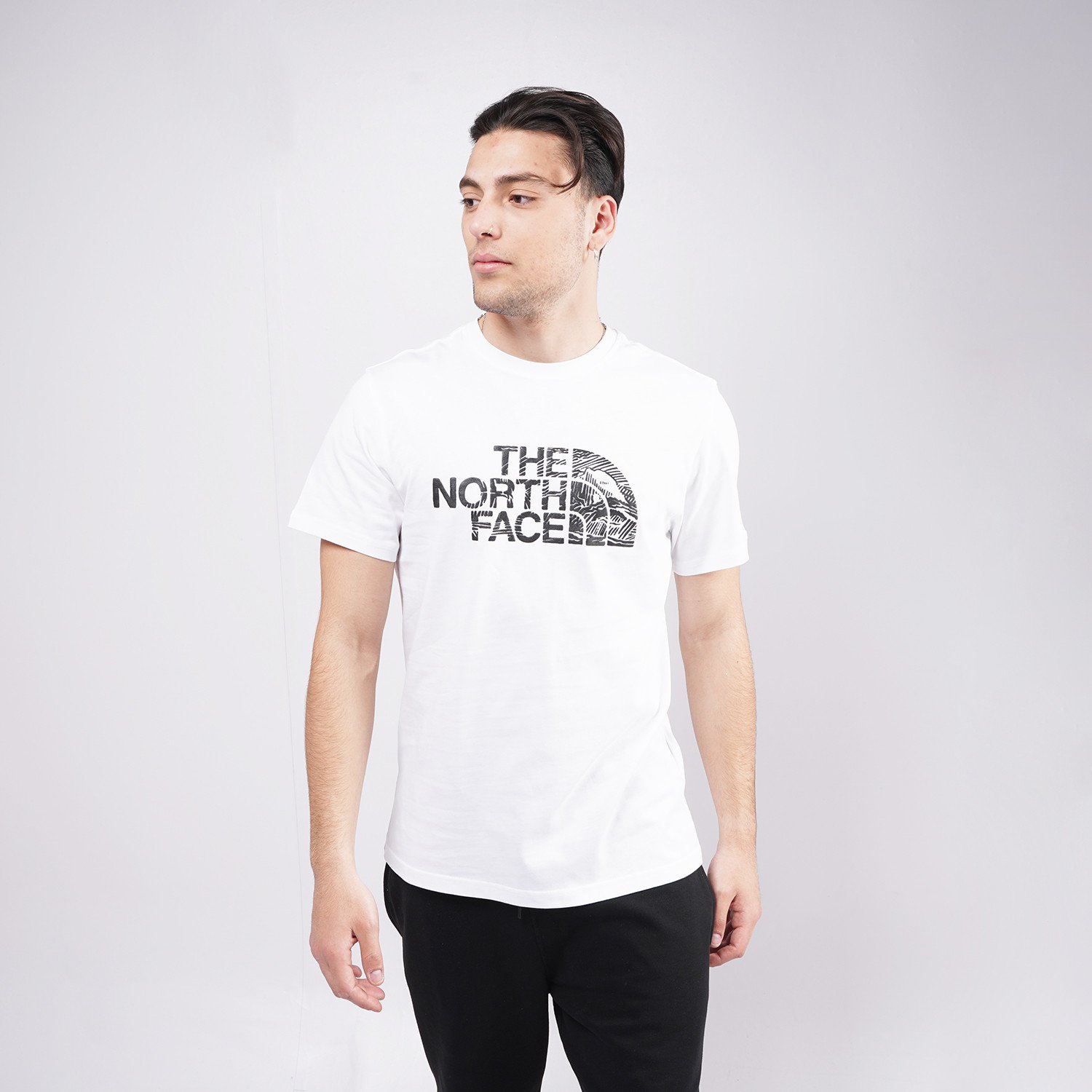 THE-NORTH-FACE-M-Ss-Woodcut-Dome-Tee-20804110245_26543