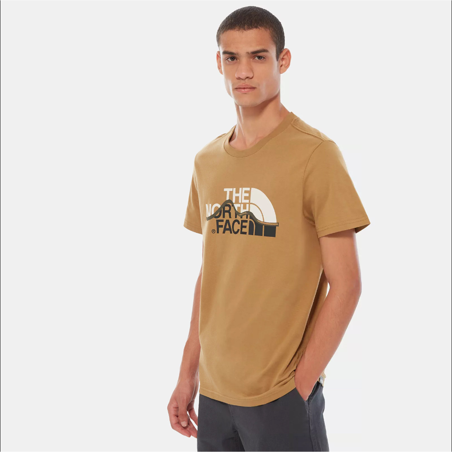 THE-NORTH-FACE-Mountain-Line-Mens-Tee-9000047154_43981