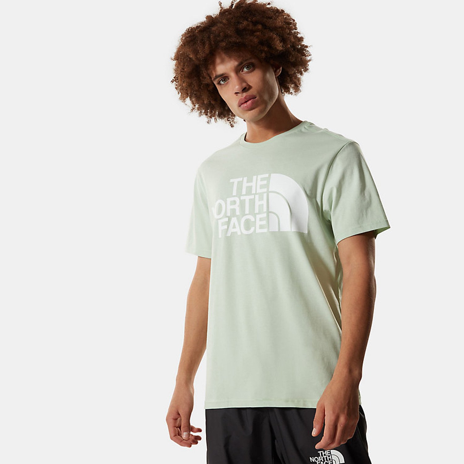 The-North-Face-Standard-Ανδρικό-T-Shirt-9000073435_51520