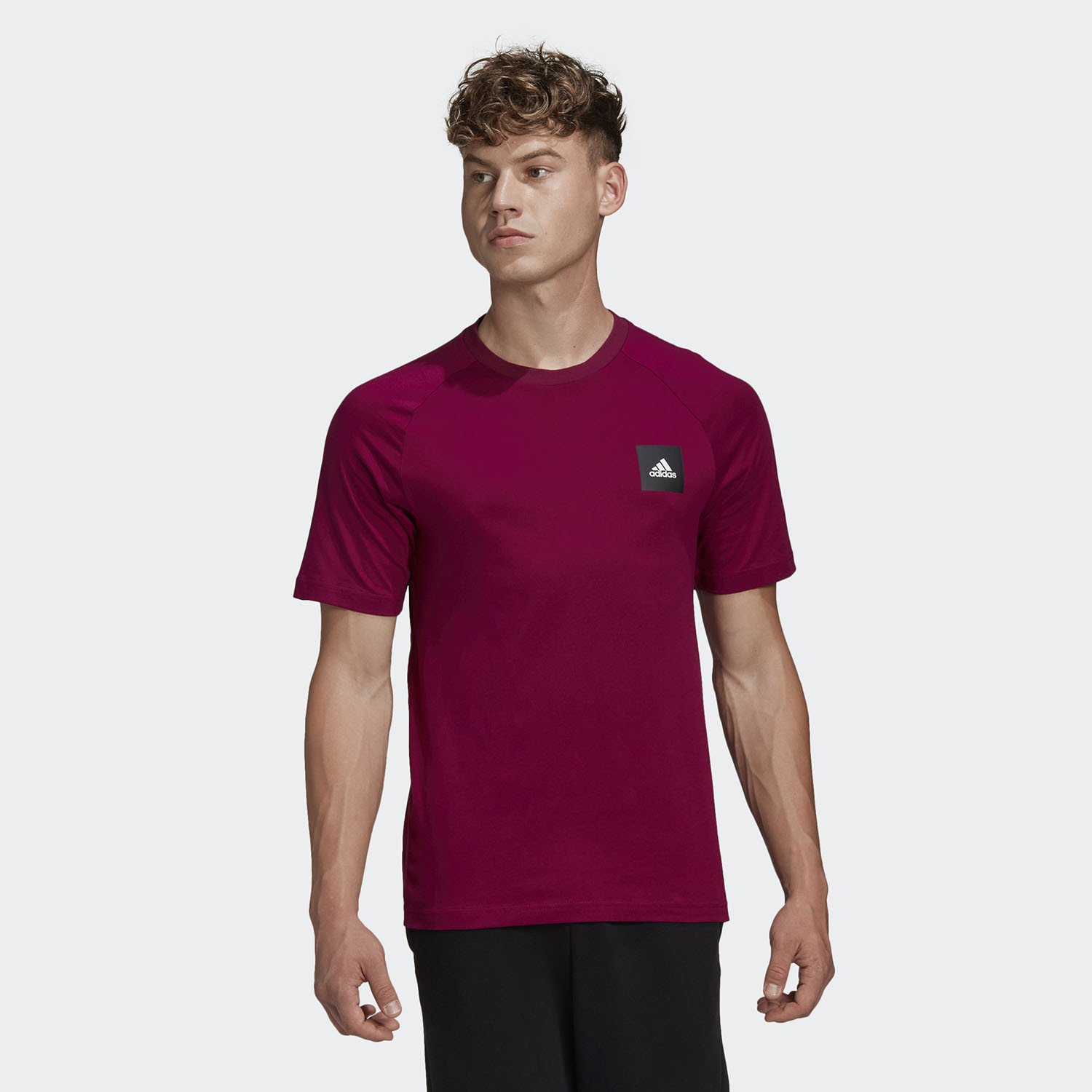 adidas-Performance-Must-Haves-Stadium-Ανδρικό-T-Shirt-9000058349_47253