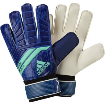 adidas Performance PRE TRAINING