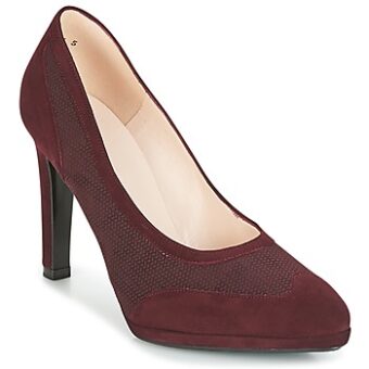 Γόβες Peter Kaiser HERNA ΣΤΕΛΕΧΟΣ: Δέρμα & ΕΠΕΝΔΥΣΗ: Δέρμα & ΕΣ. ΣΟΛΑ: Δέρμα & ΕΞ. ΣΟΛΑ: Συνθετικό