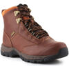 Μπότες Ariat Berwick lace GTX Insulated 10016298