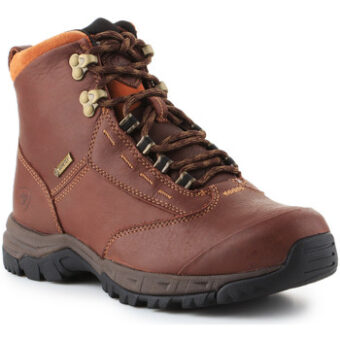 Μπότες Ariat Berwick lace GTX Insulated 10016298