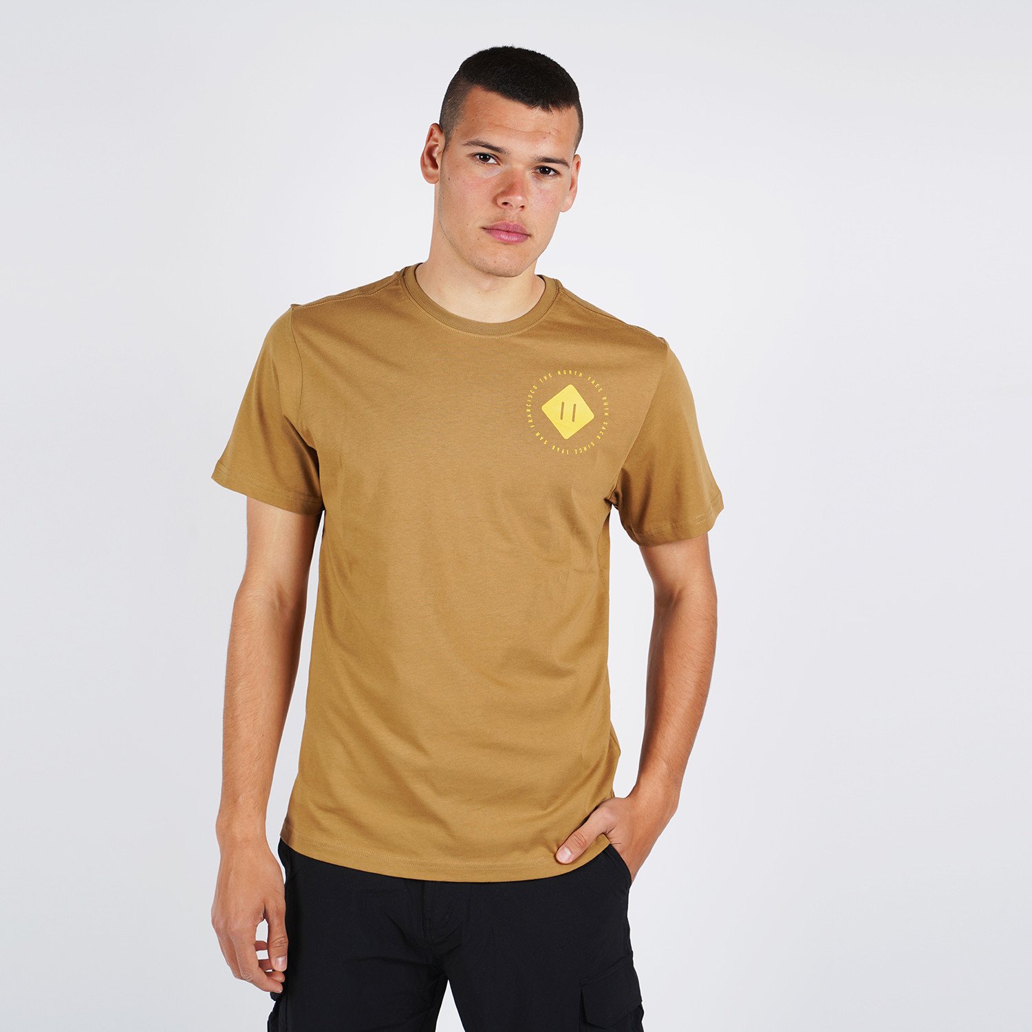 Τhe-North-Face-Graphic-Ανδρικό-T-Shirt-9000047289_19279